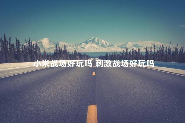 小米战场好玩吗 刺激战场好玩吗